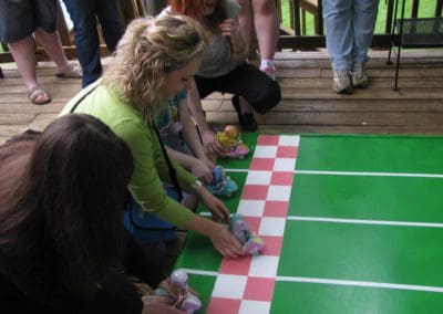 MDPM 2009