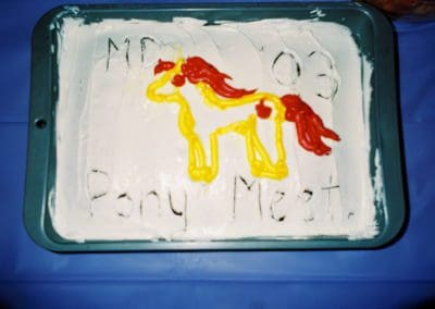 MDPM 2003